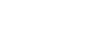 gswAsset 29